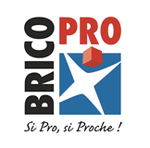 logo de brico pro