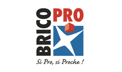 logo de brico pro